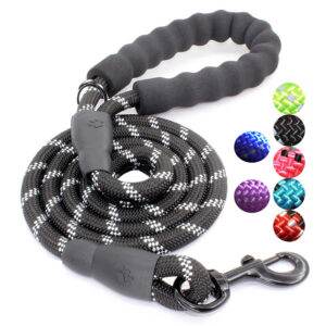 Collars & Leads