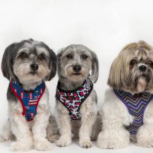 Harnesses